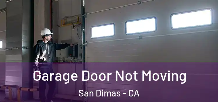  Garage Door Not Moving San Dimas - CA